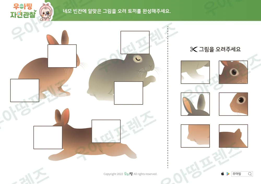 14쪽