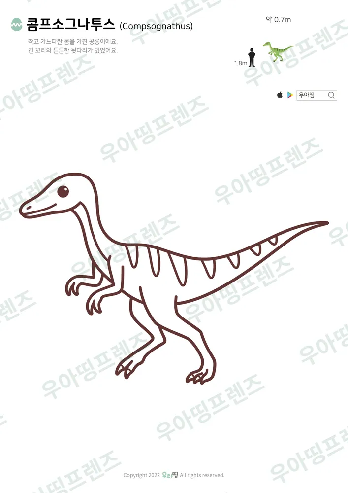 콤프소그나투스 색칠공부 도안