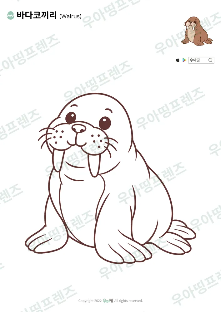 바다코끼리 색칠공부 도안