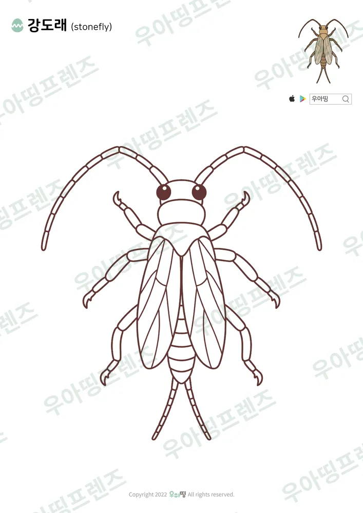 강도래 색칠공부 도안
