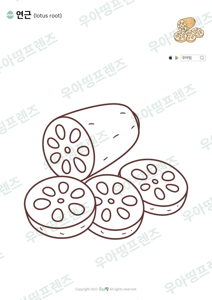 연근 색칠공부 도안