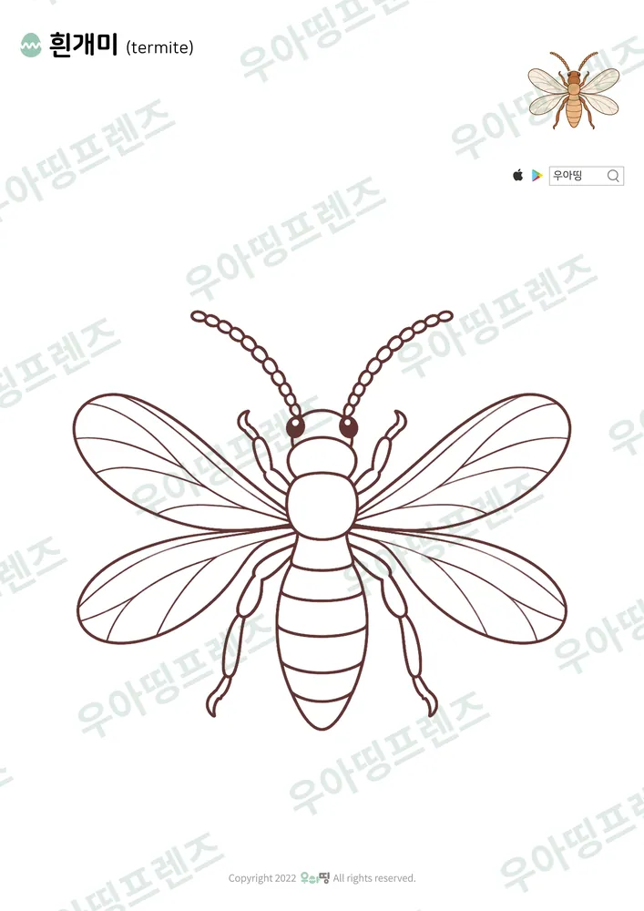 흰개미 색칠공부 도안