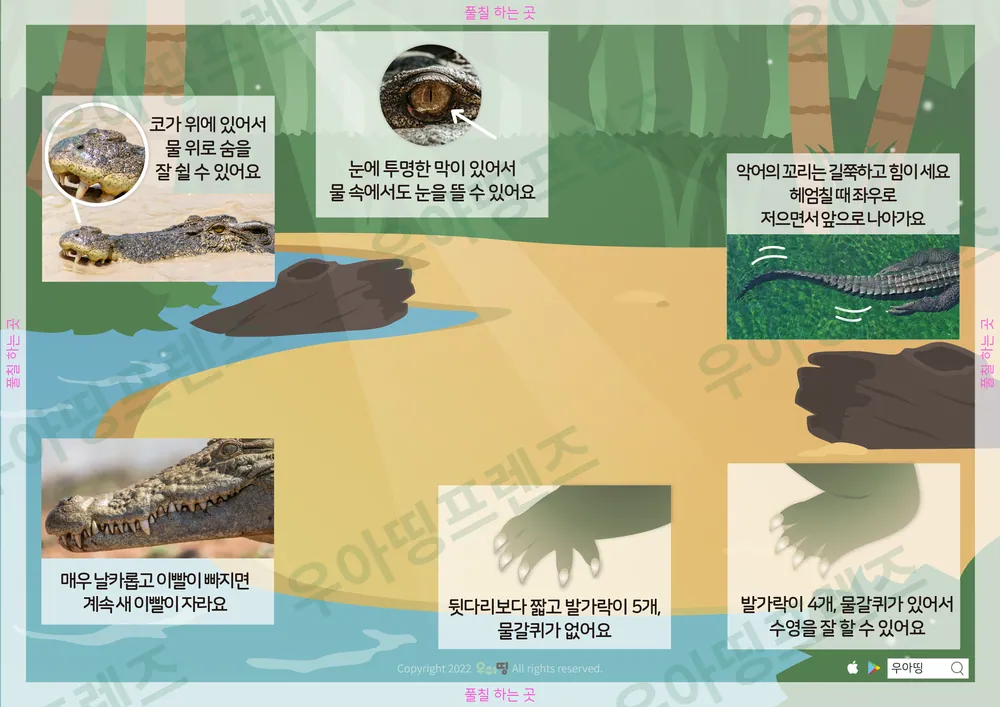 3쪽