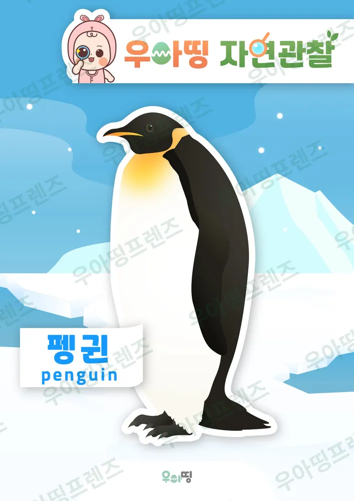 펭귄 자연관찰 워크북 미리보기