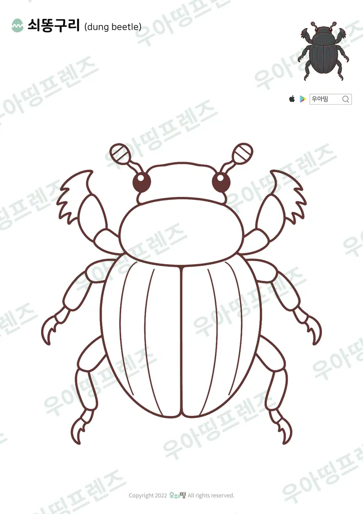 쇠똥구리 색칠공부 도안