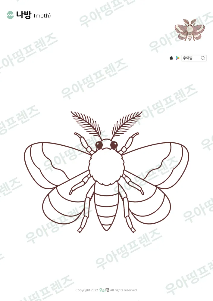 나방 색칠공부 도안