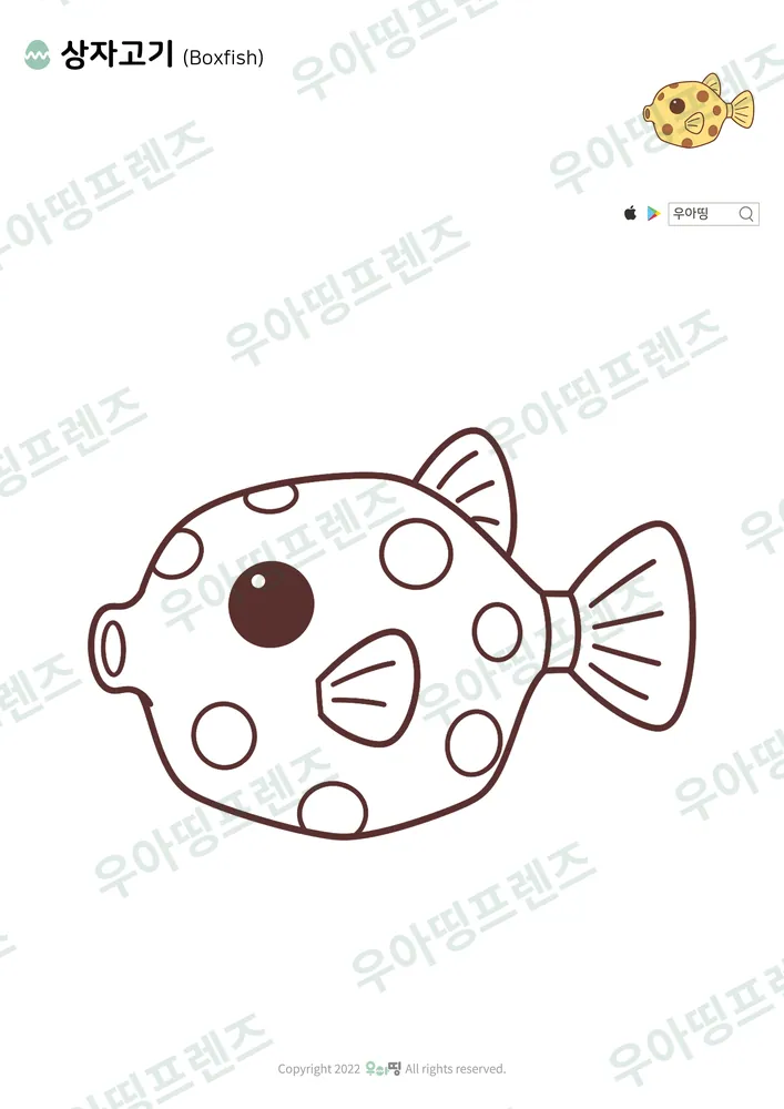 상자고기 색칠공부 도안