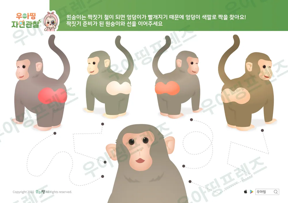 원숭이 자연관찰 워크북 도안 6쪽