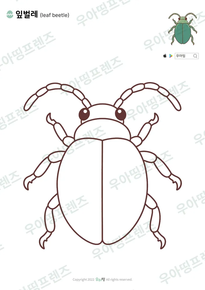 잎벌레 색칠공부 도안