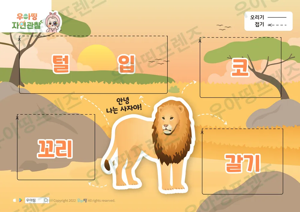 사자 자연관찰 워크북 도안 2쪽
