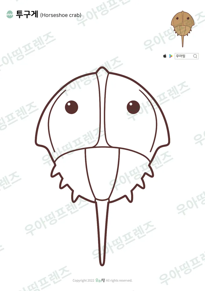 투구게 색칠공부 도안