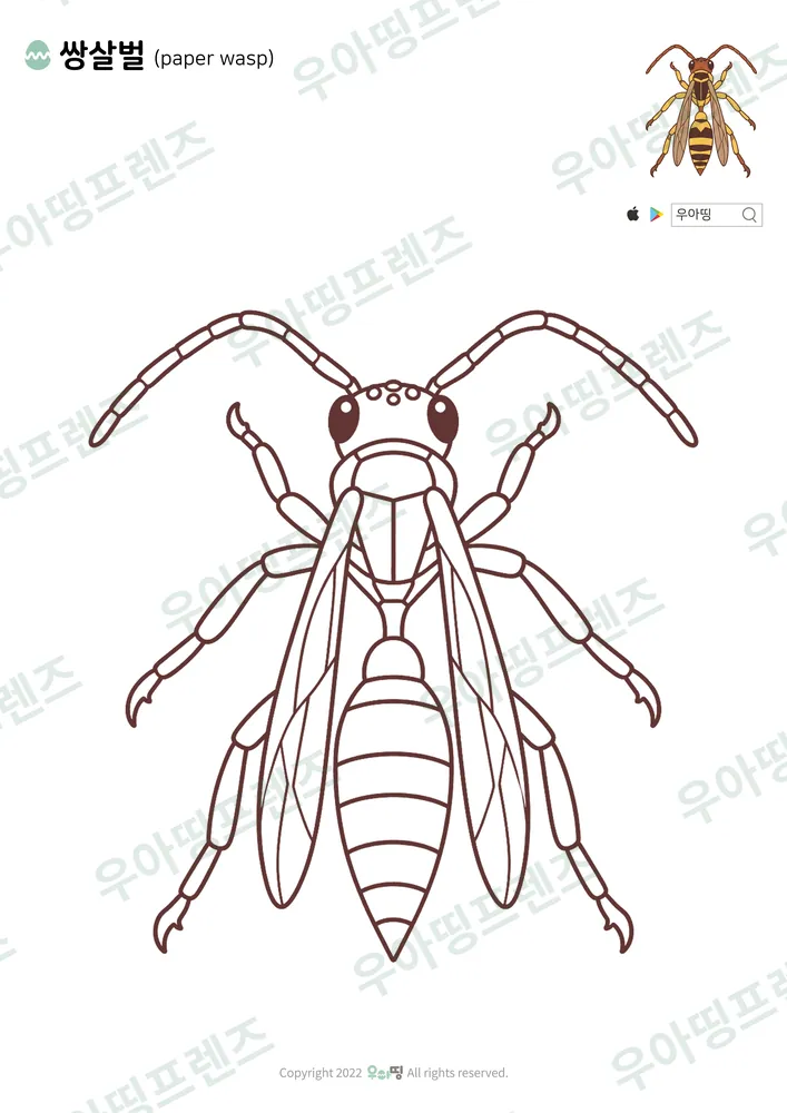 쌍살벌 색칠공부 도안