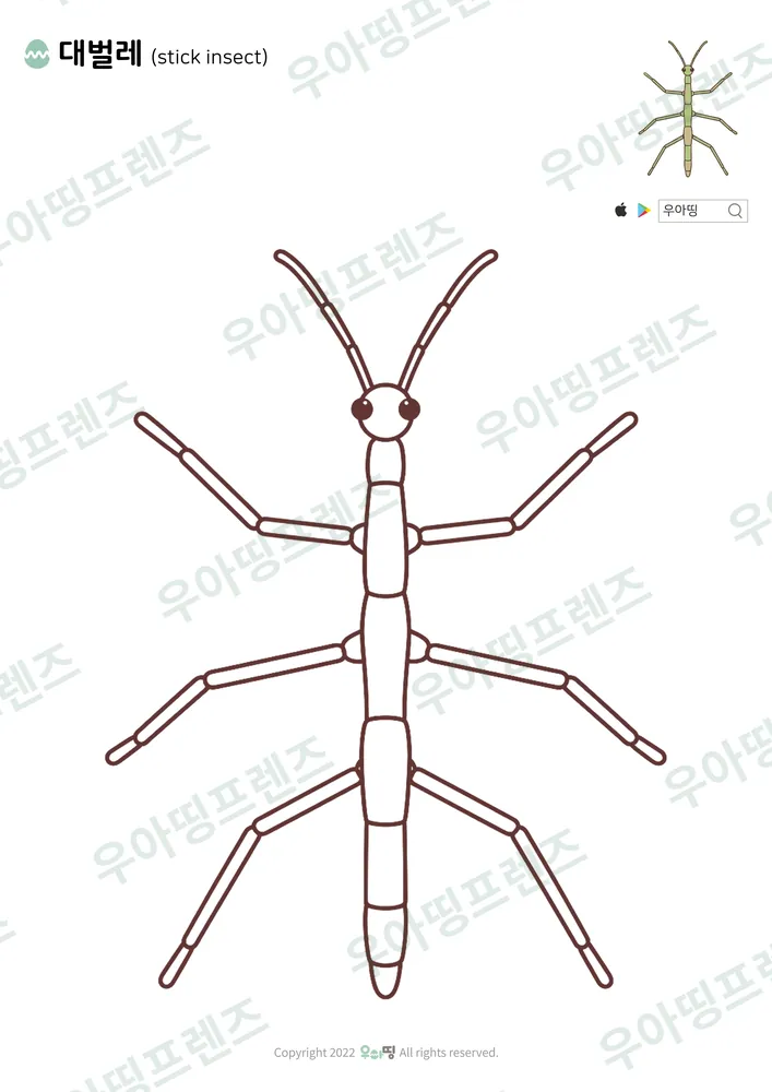 대벌레 색칠공부 도안