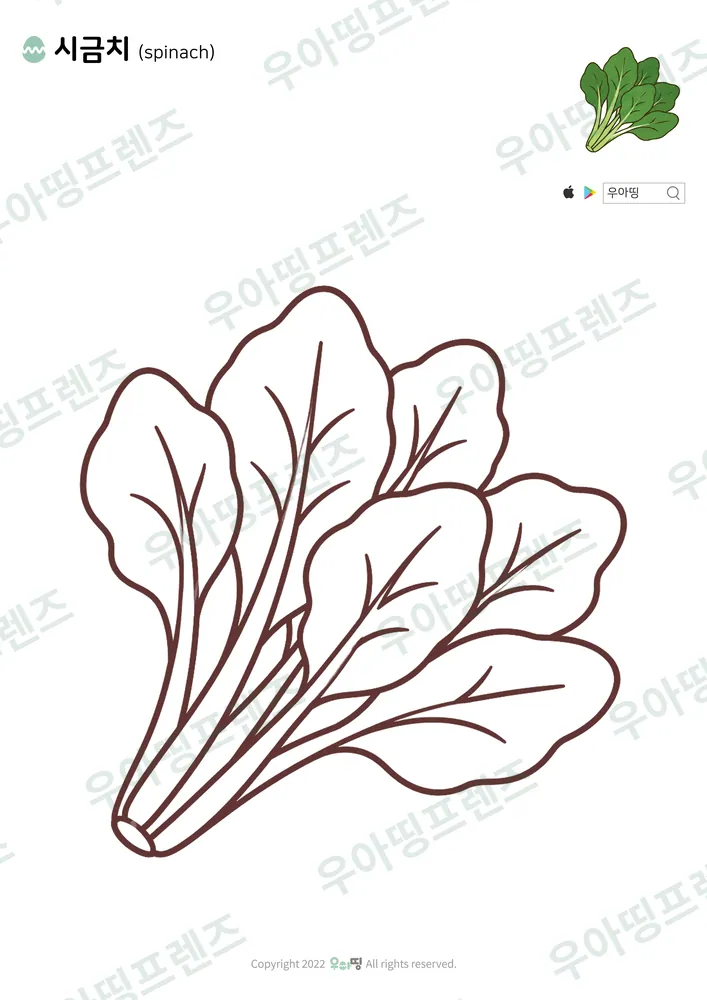 시금치 색칠공부 도안