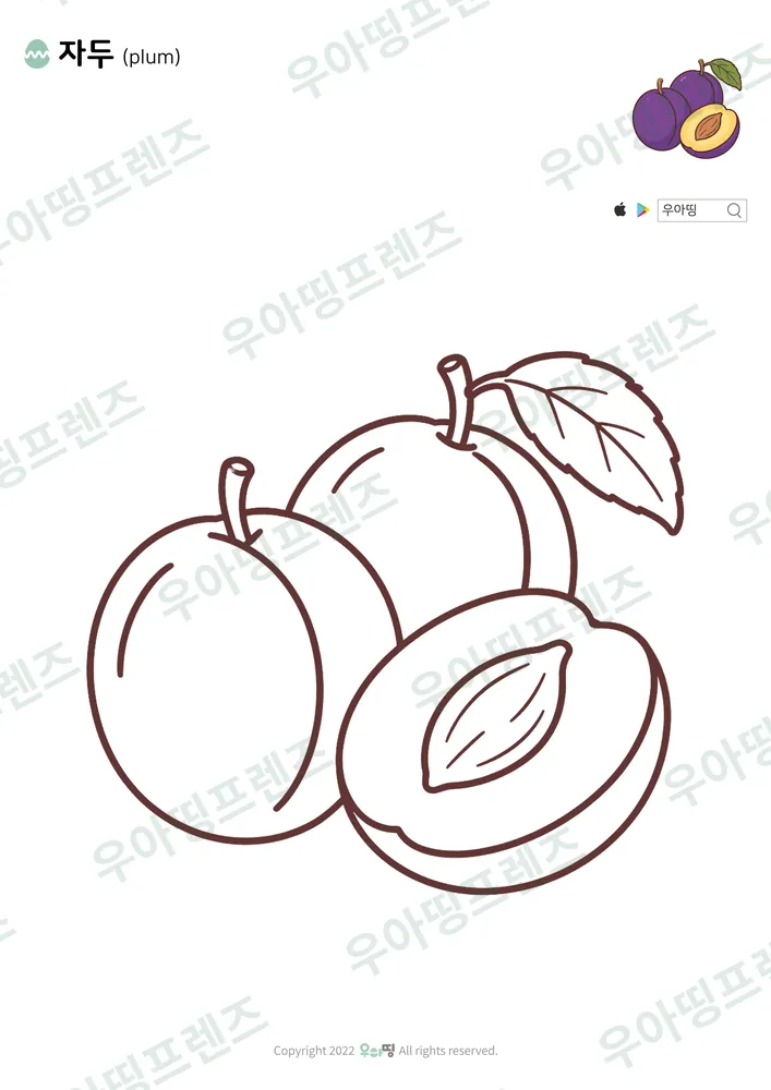 자두 색칠공부 도안