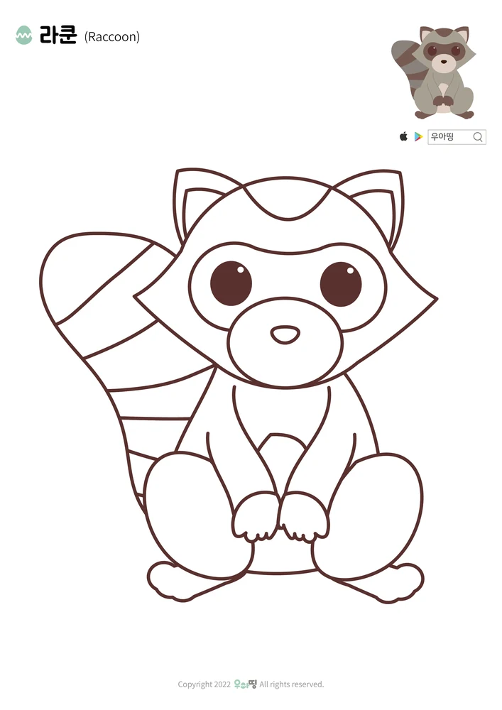 라쿤 색칠공부 도안
