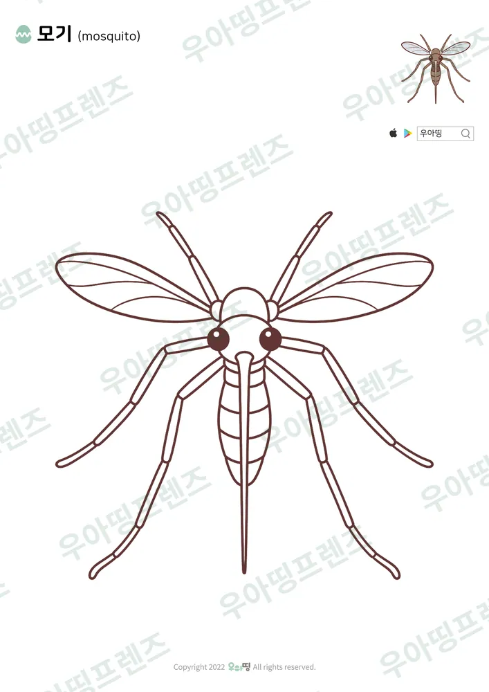 모기 색칠공부 도안