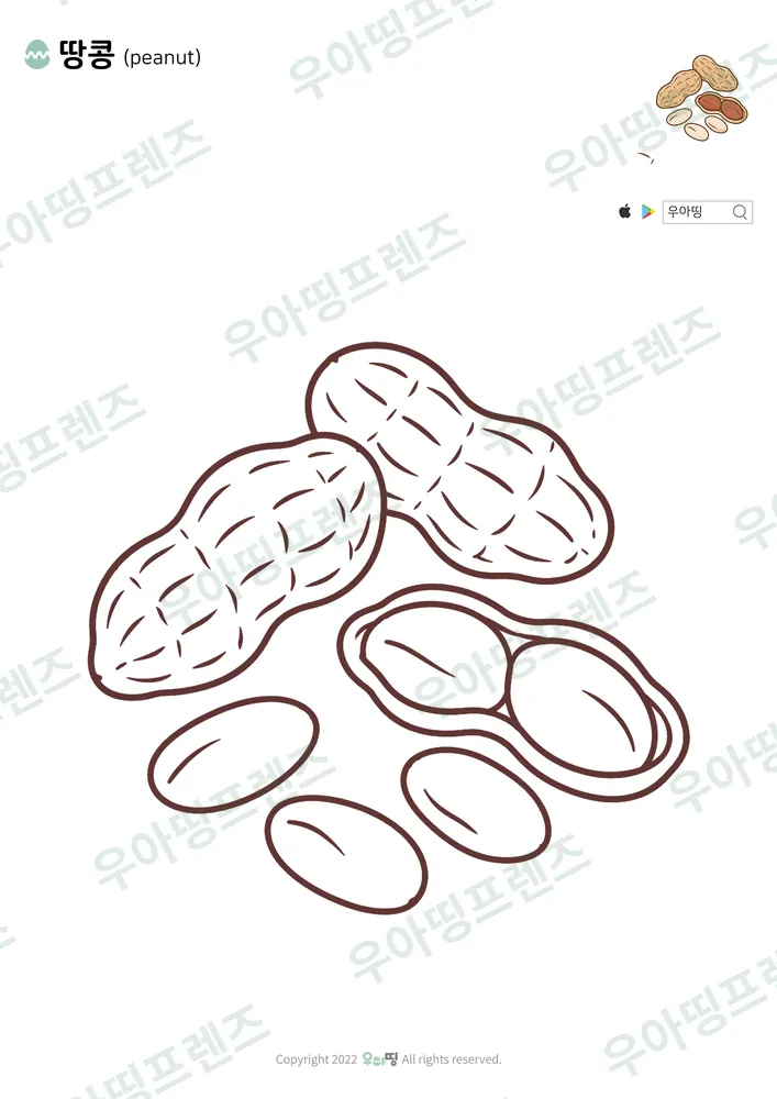 땅콩 색칠공부 도안
