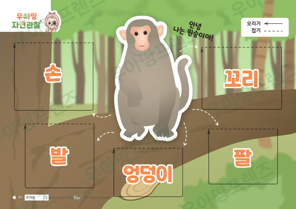 원숭이 자연관찰 워크북 도안 2쪽
