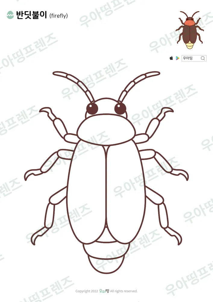 반딧불이 색칠공부 도안