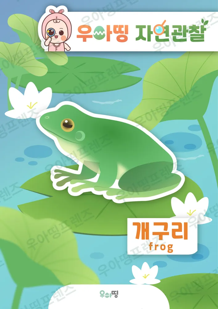 개구리 자연관찰 워크북 미리보기