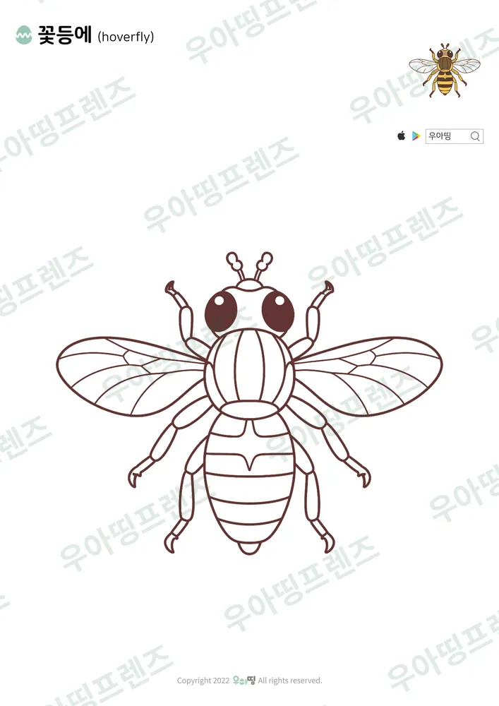 꽃등에 색칠공부 도안