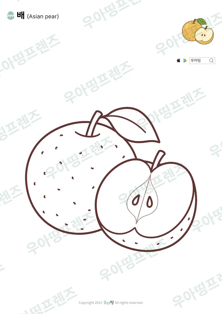 배 색칠공부 도안