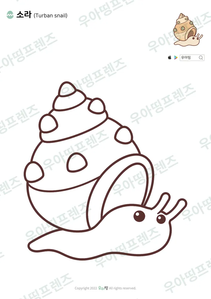 소라 색칠공부 도안