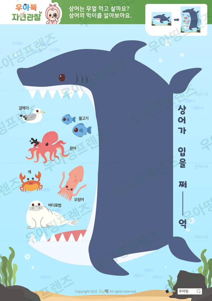 7쪽