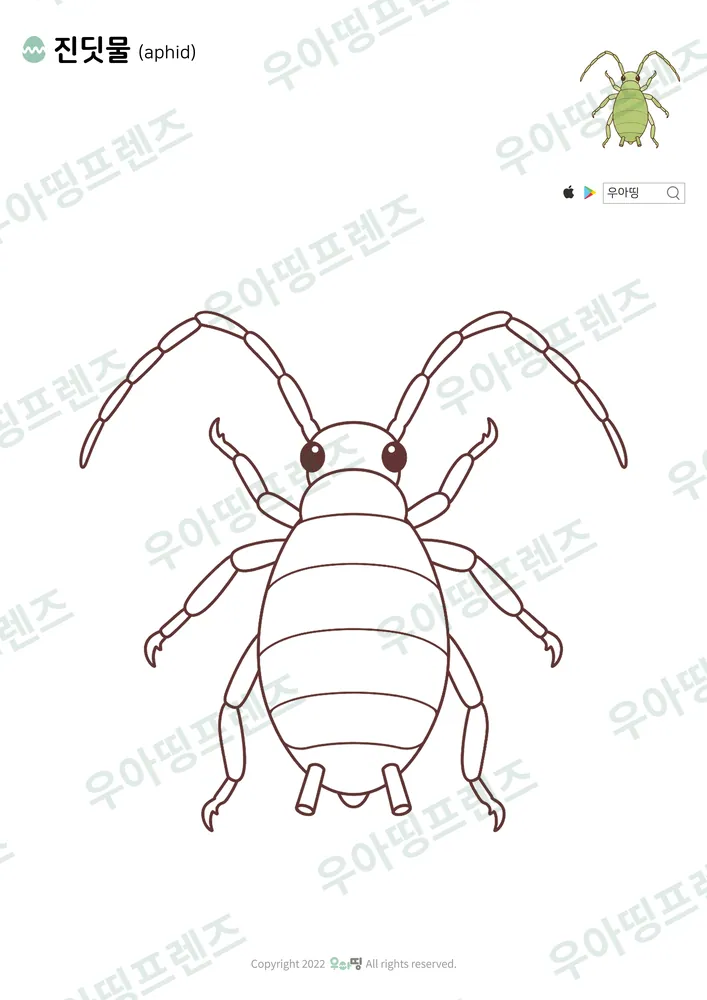 진딧물 색칠공부 도안