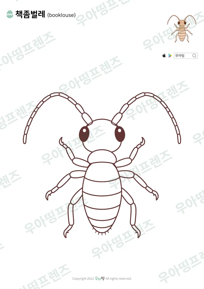 책좀벌레 색칠공부 도안