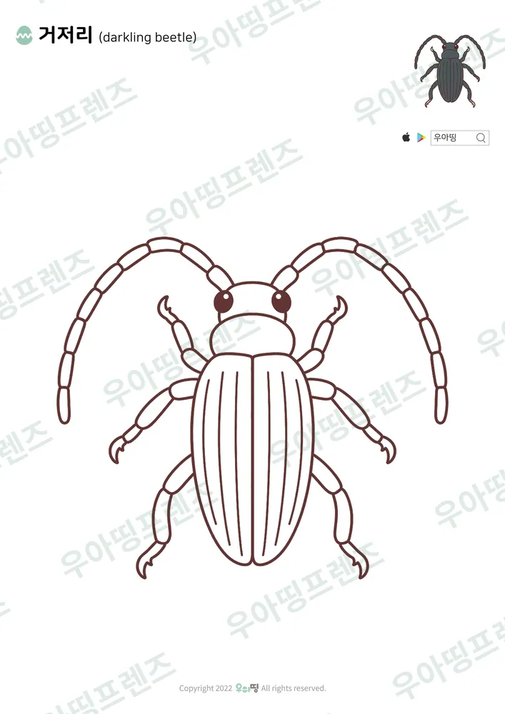 거저리 색칠공부 도안