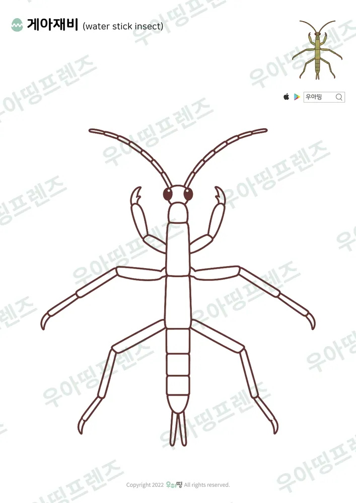 게아재비 색칠공부 도안
