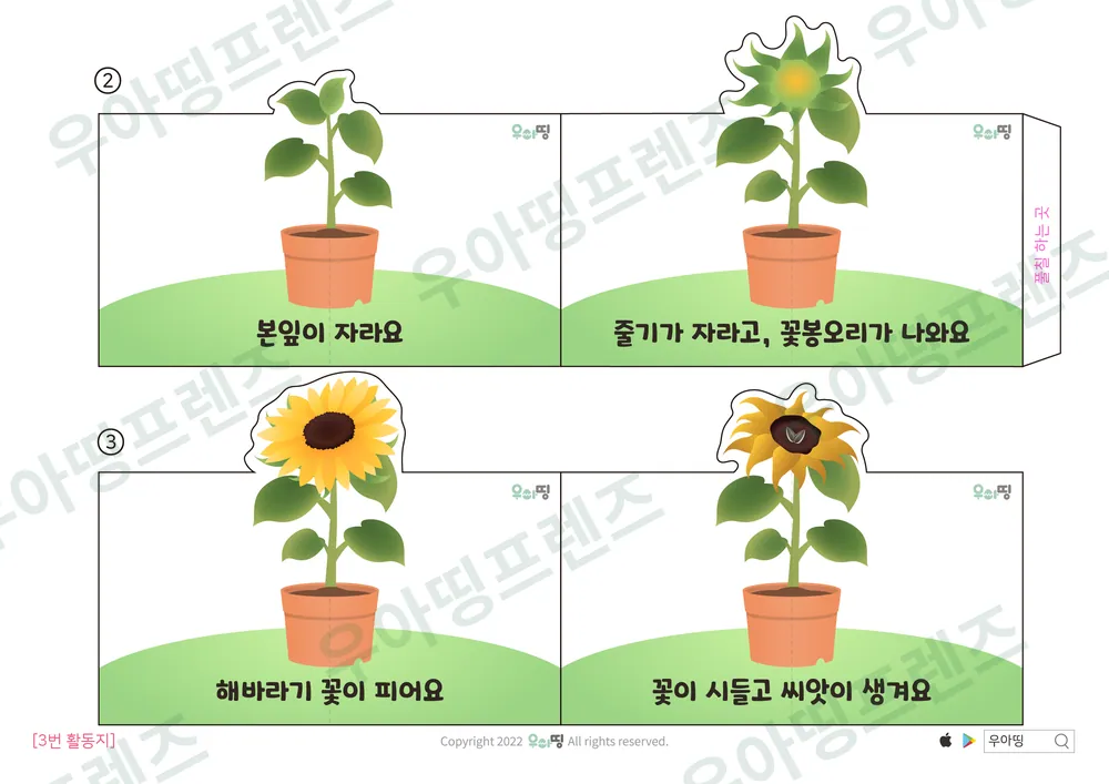 12쪽