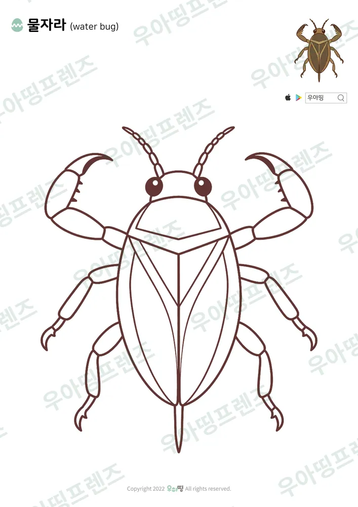 물자라 색칠공부 도안