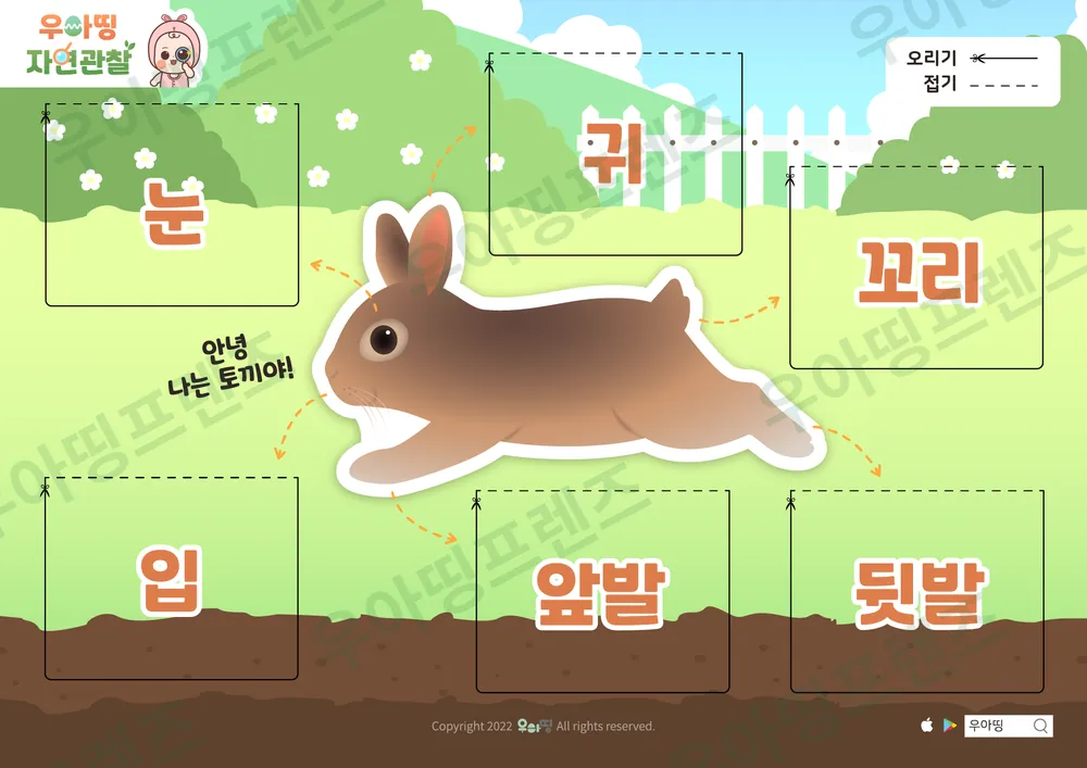 3쪽