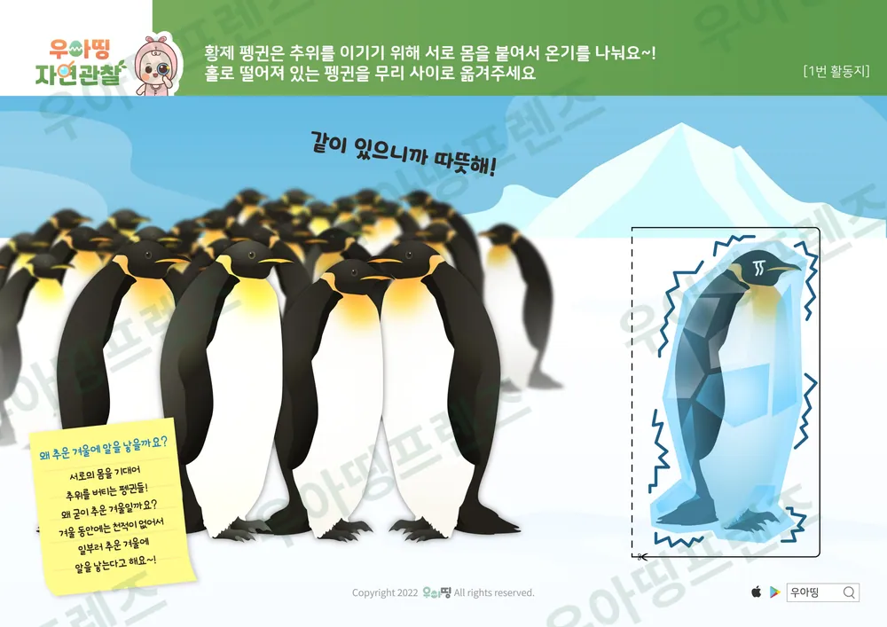 펭귄 자연관찰 워크북 도안 5쪽
