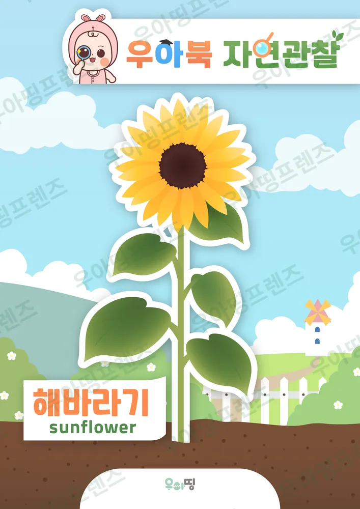 워크북 미리보기