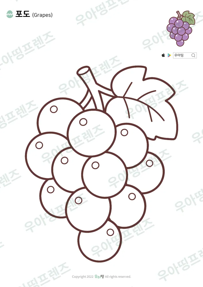 포도 색칠공부 도안