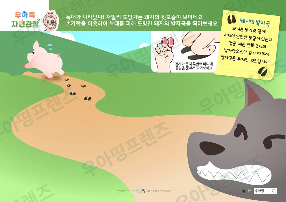 5쪽