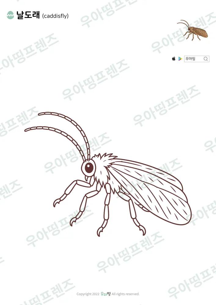 날도래 색칠공부 도안