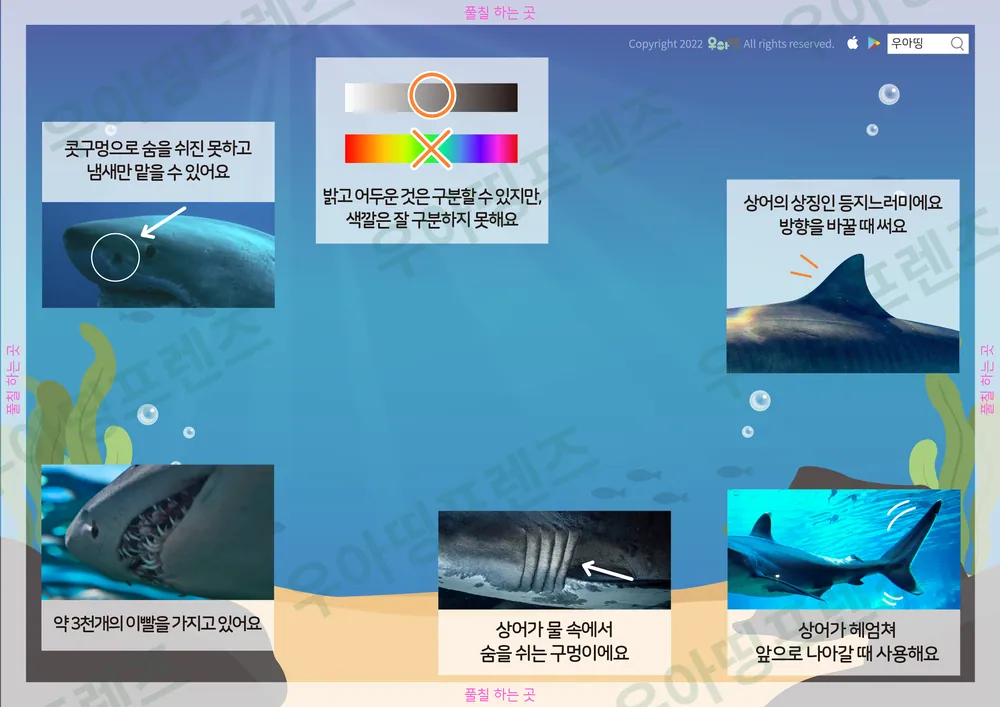 3쪽