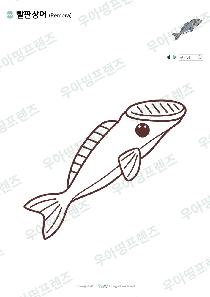 빨판상어 색칠공부 도안