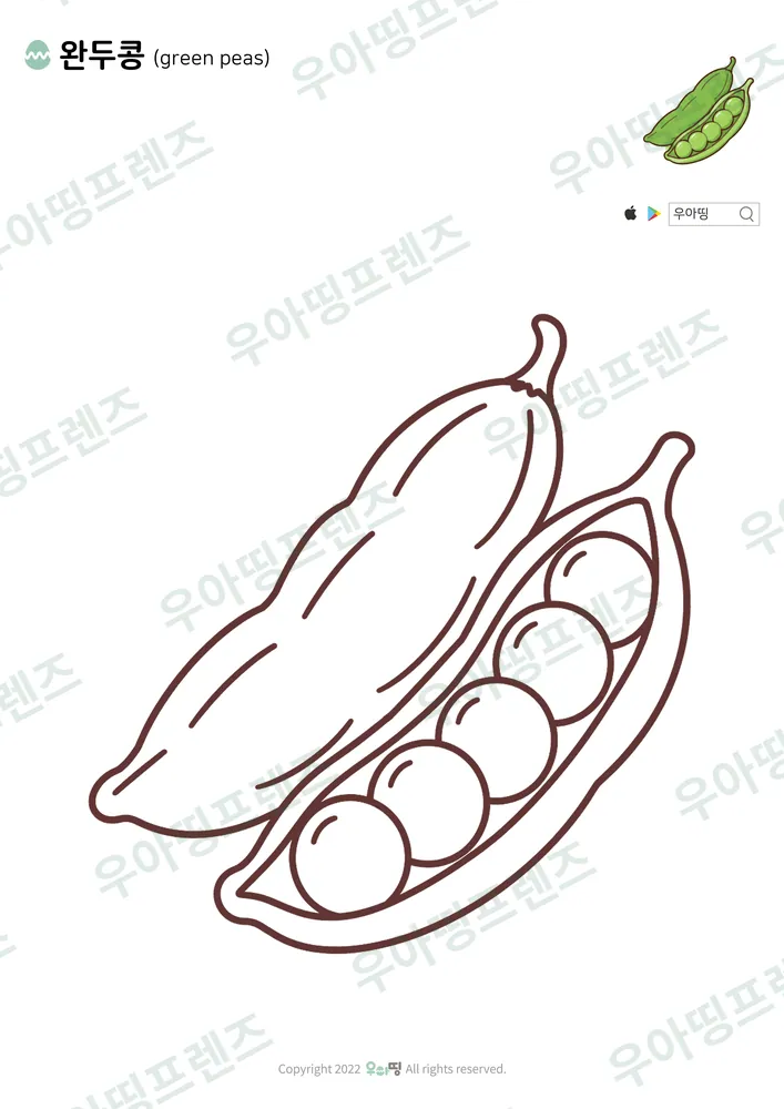 완두콩 색칠공부 도안