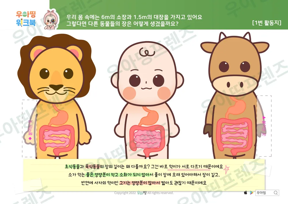 소화기관 워크북 도안 6쪽