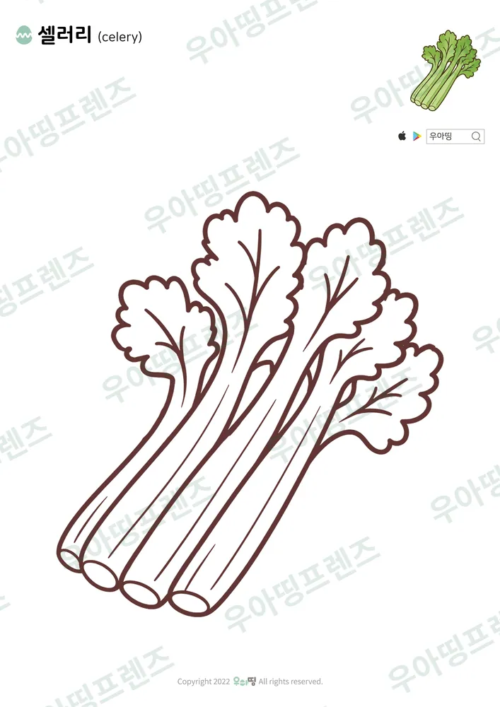 셀러리 색칠공부 도안