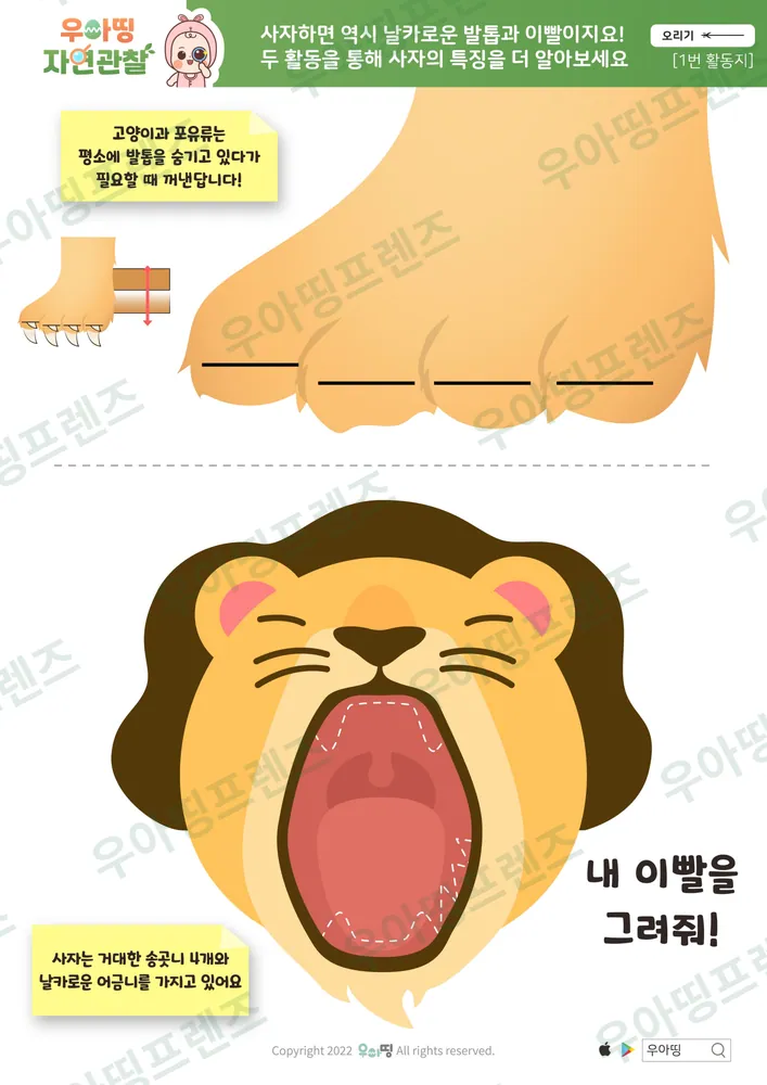 사자 자연관찰 워크북 도안 4쪽