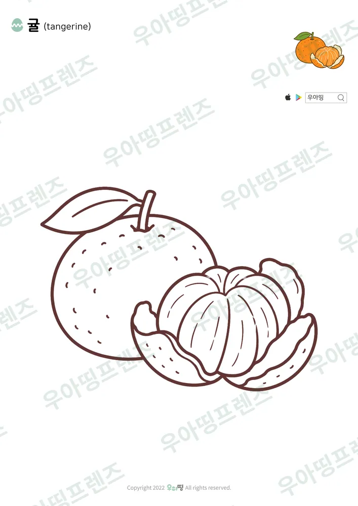 귤 색칠공부 도안