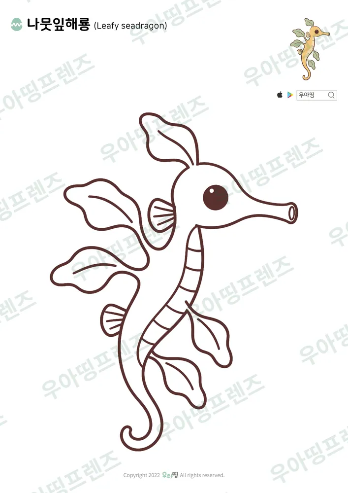 나뭇잎해룡 색칠공부 도안