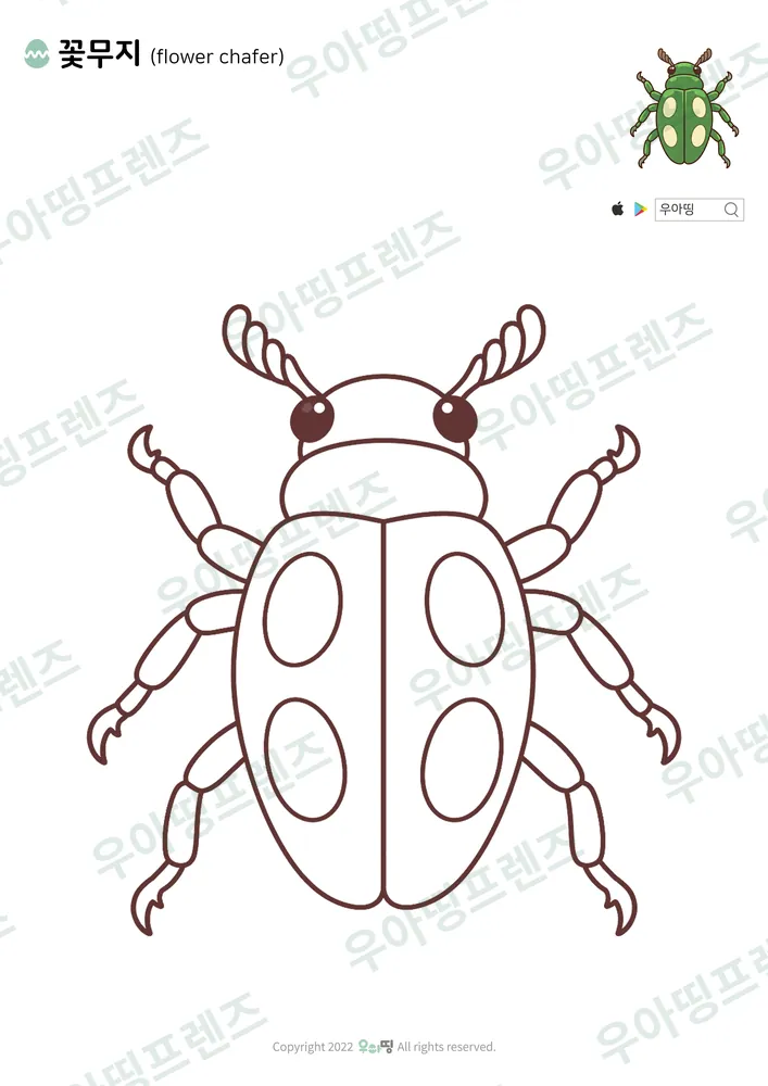 꽃무지 색칠공부 도안